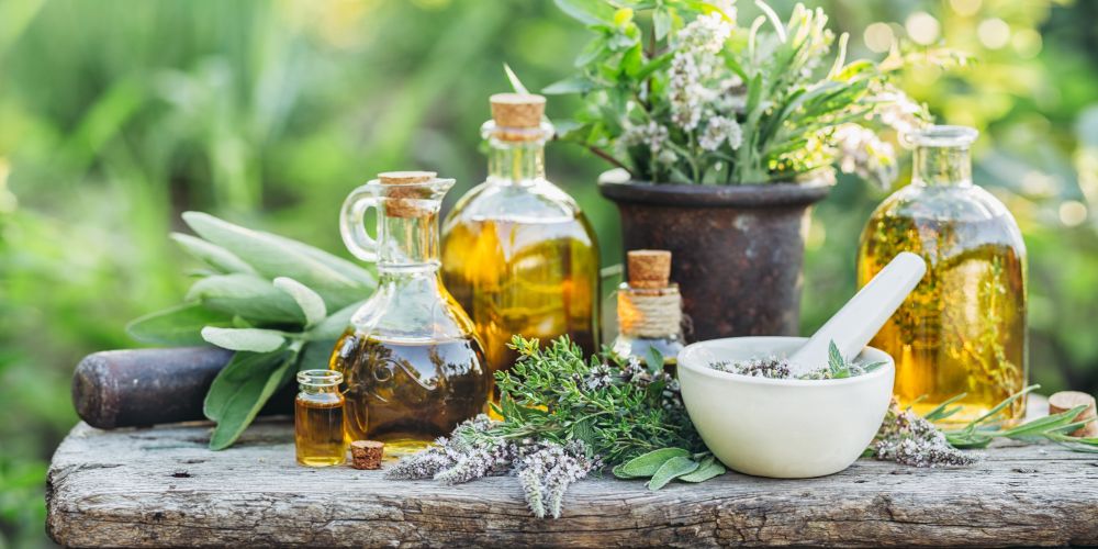 Ayurveda für Pferde – ganzheitliche Gesundheit fördern