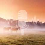 Podcast #3 – Autumn Pasture to Paddock Transition: How to Ensure a Smooth Transition from Grass to Hay