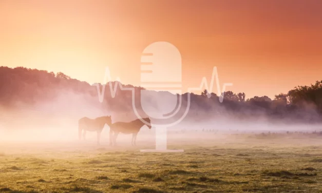 Podcast #3 – Autumn Pasture to Paddock Transition: How to Ensure a Smooth Transition from Grass to Hay