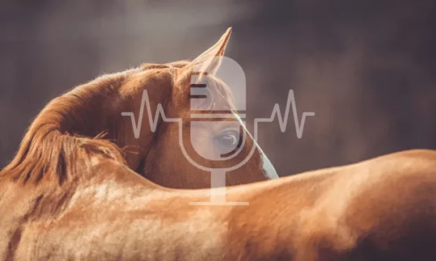 Podcast #5 – Stress in Horses: How to Recognize It and What Really Helps