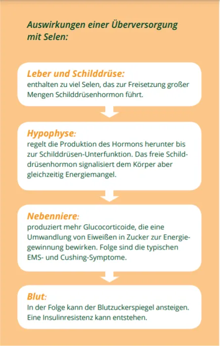Effects of selenium oversupply