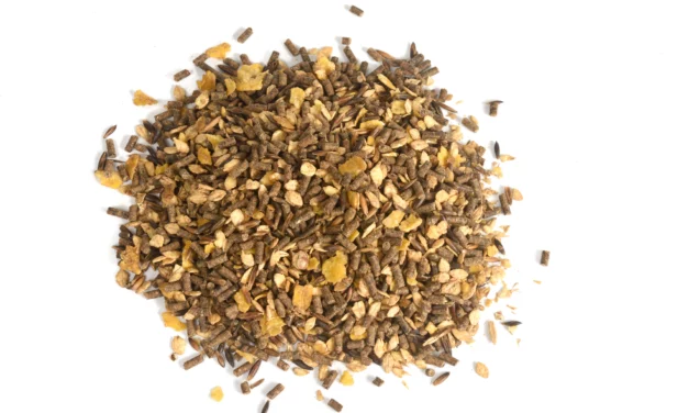Healthy feeding is more than just hay and muesli