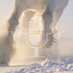 Podcast #11  Snowy Pastures – Safe Winter Turnout or Risky Business?