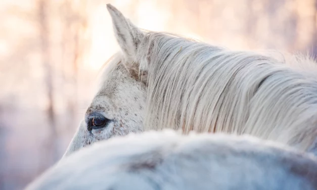 Things to bear in mind during the cold season