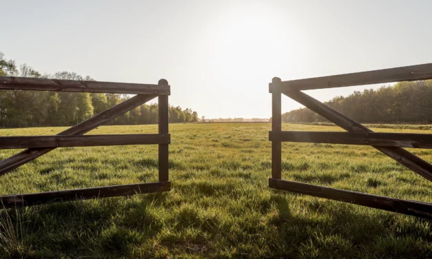 5 tips for preparing the pastures for spring