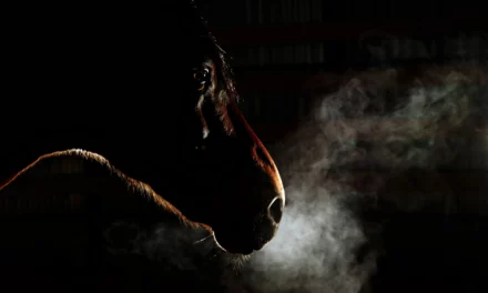 What to use when? <strong>Cough herbs vs Secretosan</strong>