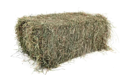 Letting hay cure – but why, exactly?