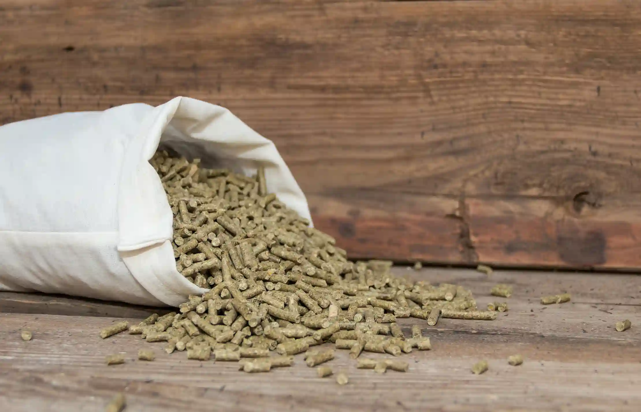 An overturned sack of hay cobs