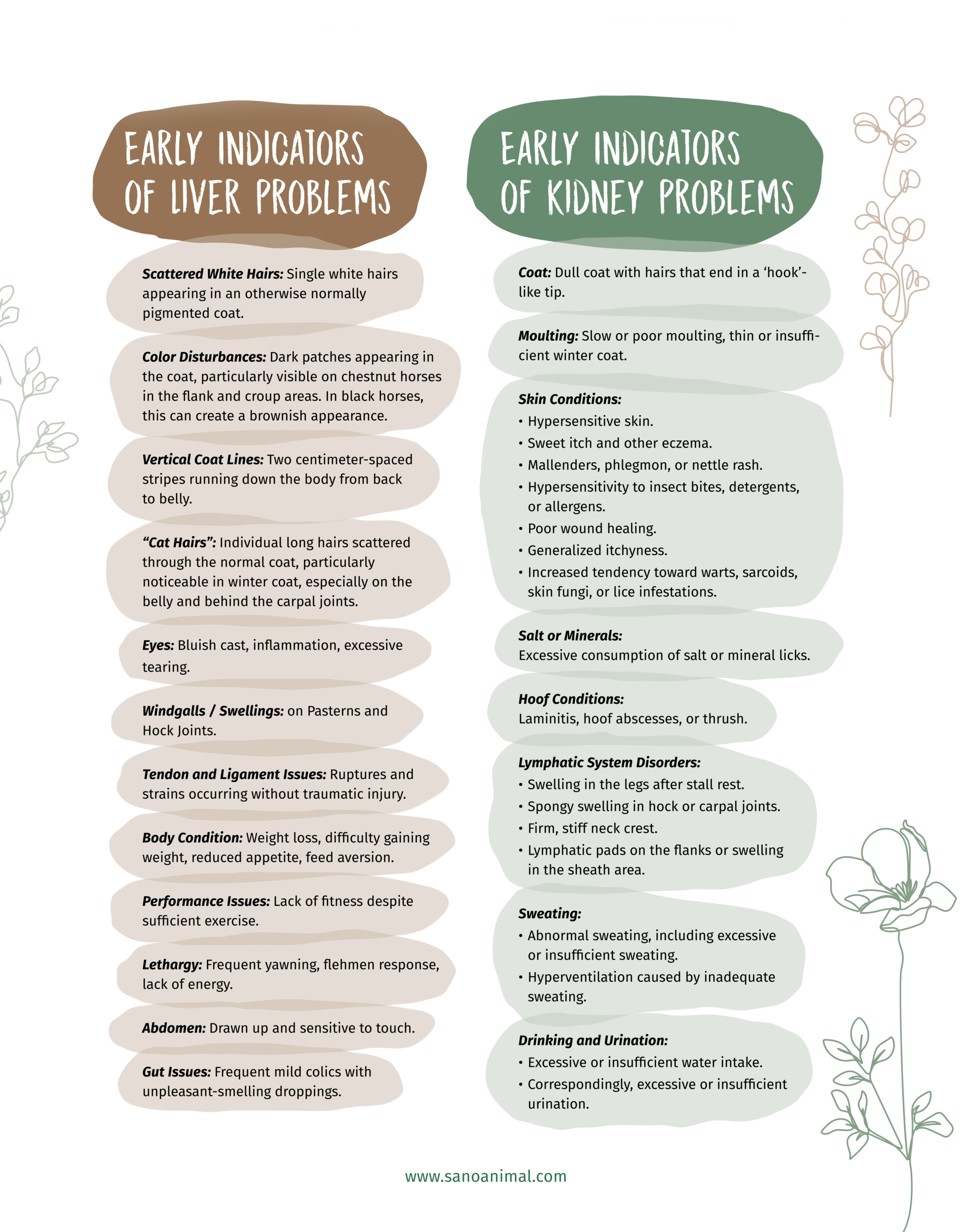 Early Indicators of Liver and kidney problems