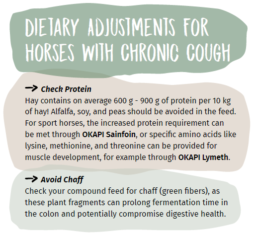 dietary adjustments for horses with chronic cough