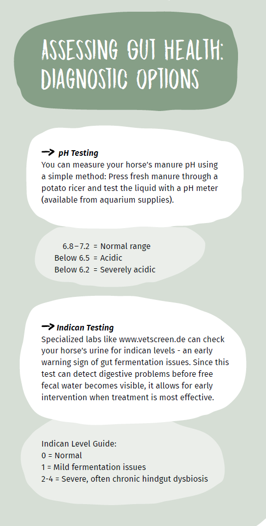 Assessing gut health: Diagnostic options