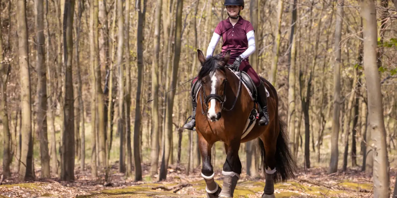 Two sides of the same coin: Opportunities and risks of outdoor training