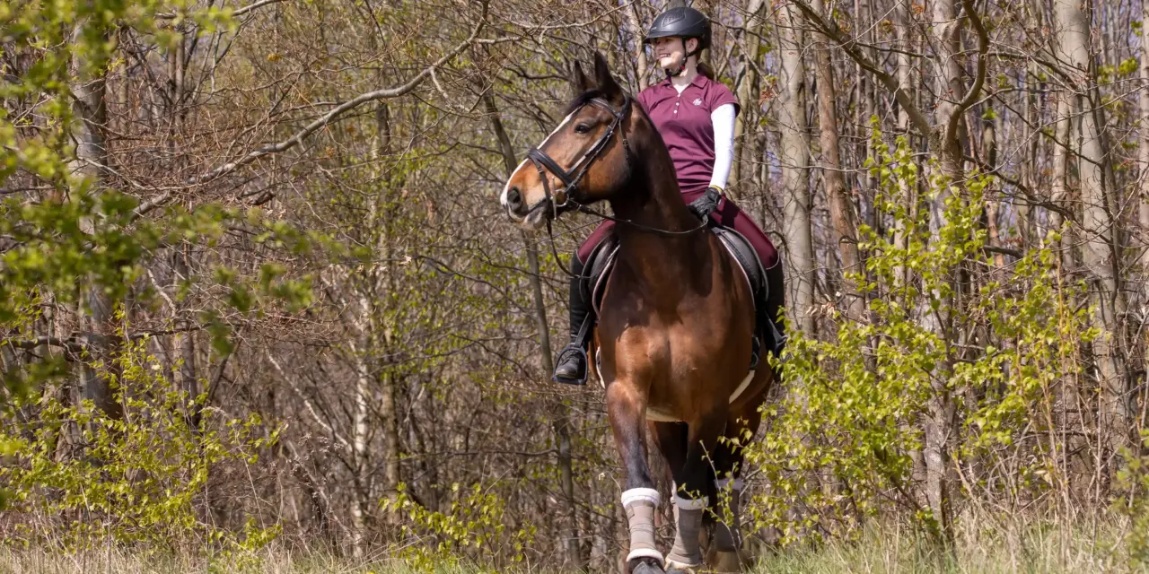 Out of the arena: Why sport horses need to hack out