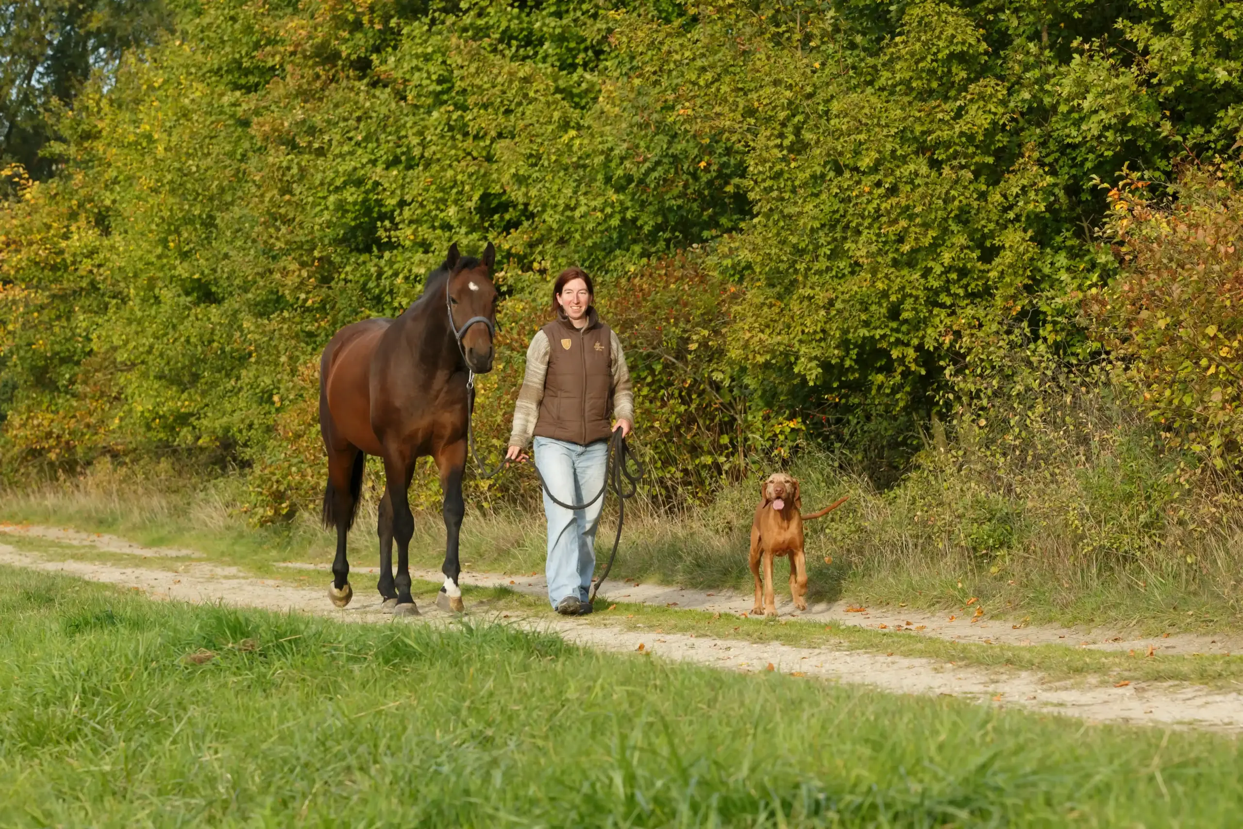 A woman walking with her horse and dog