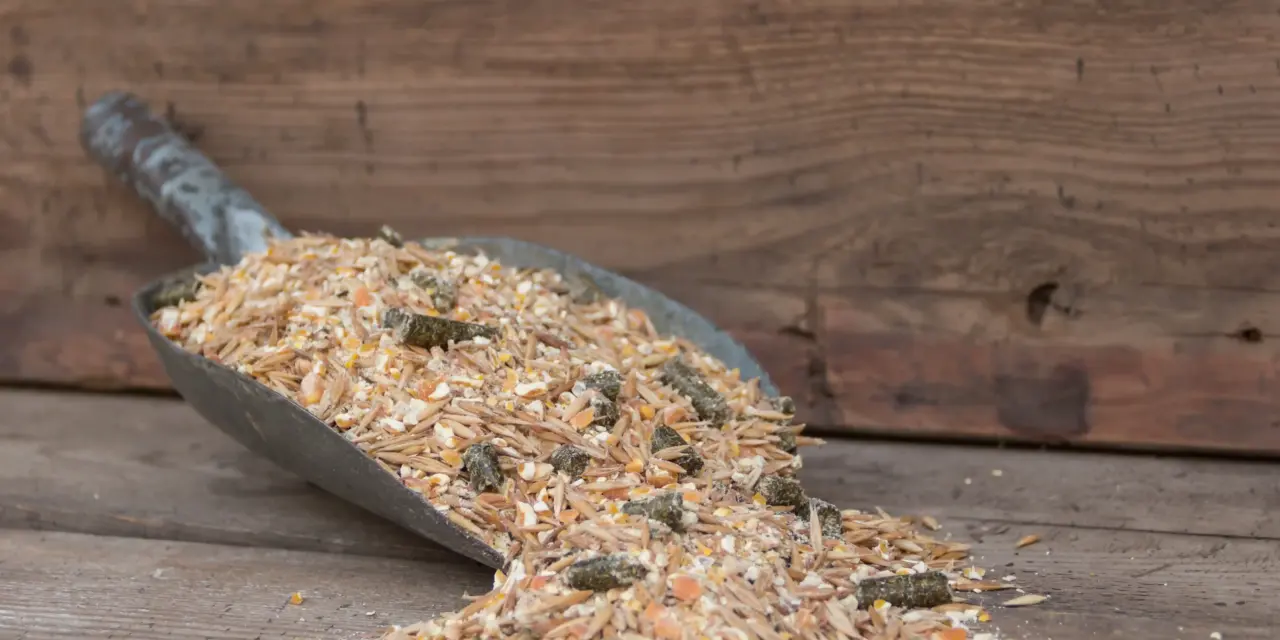 Additives in horse feed: Nasty chemicals or necessary helpers?