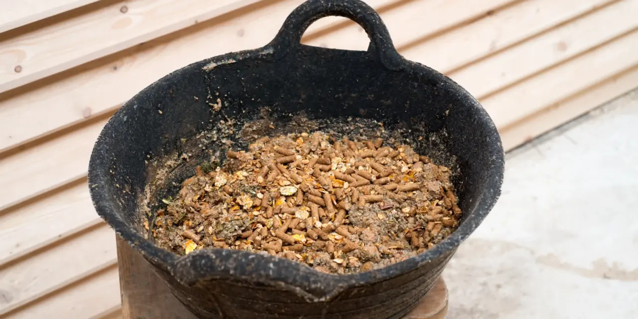 Decoding feed labels: What your horse is really eating