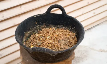 Decoding feed labels: What your horse is really eating