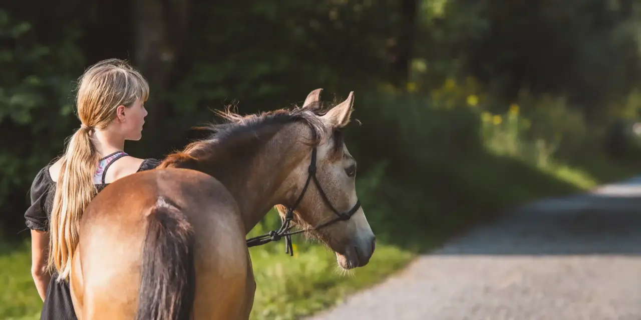 The first step into the unknown: when your horse leaves the yard for the first time