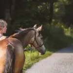 The first step into the unknown: when your horse leaves the yard for the first time