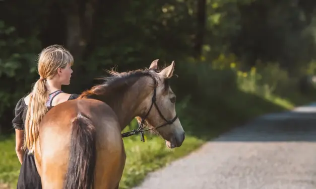The first step into the unknown: when your horse leaves the yard for the first time