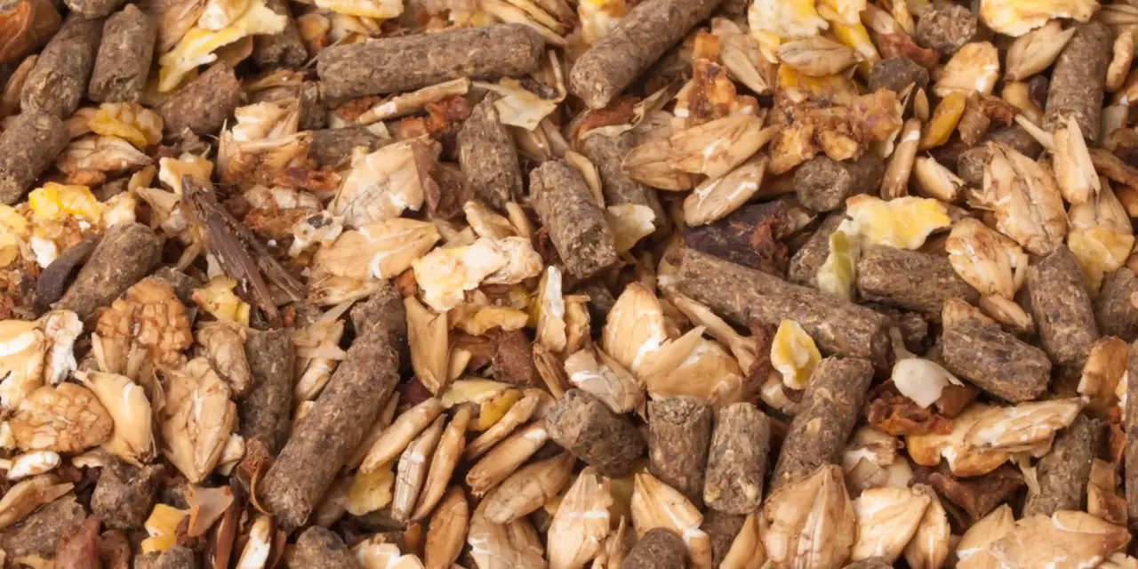 Composition Revealed: These Are the Ingredients Truly Found in Horse Feed