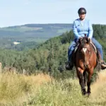 The best trail course in the world: making smart use of natural obstacles