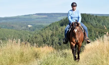 The best trail course in the world: making smart use of natural obstacles