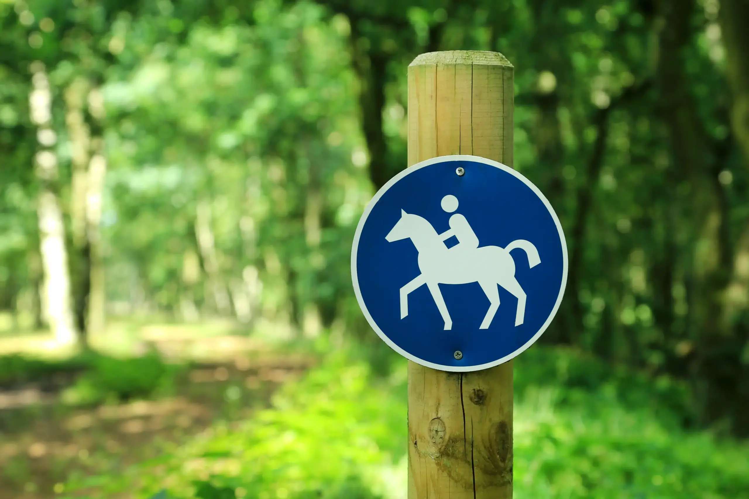 Riding path marker in woodland