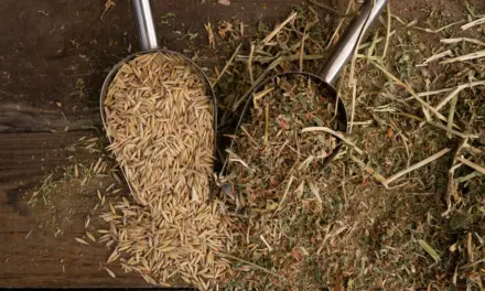 Uncovering feed myths: recognising quality horse feed