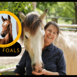 Podcast #1 – Autumn Coat Change in Horses: What Happens in the Body and How You Can Provide Targeted Support