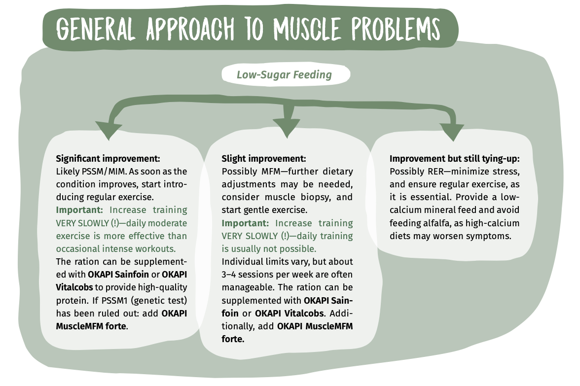 Mind Map general approach to muscle problems