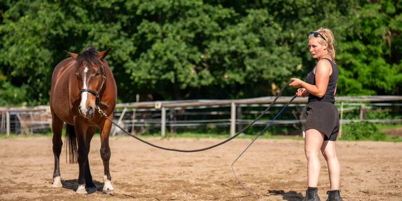 The right equipment for groundwork