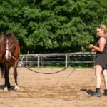 The right equipment for groundwork