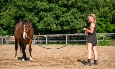 The right equipment for groundwork