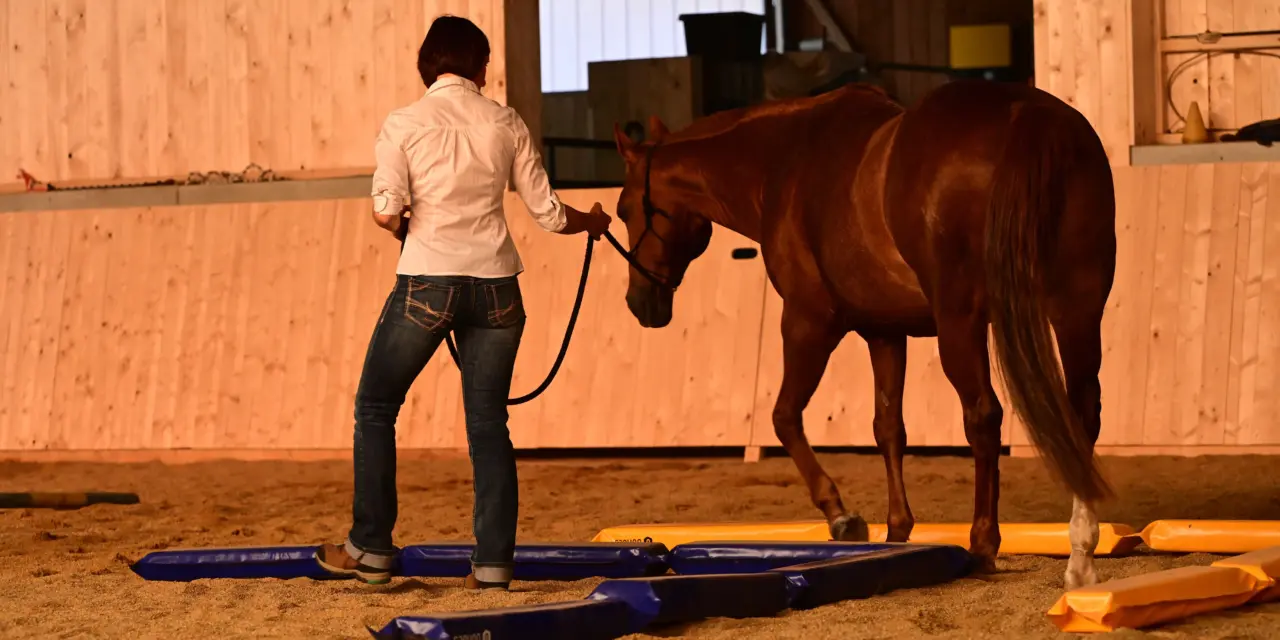 The ideal training ground