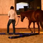 The ideal training ground