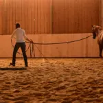 Mental preparation of the person