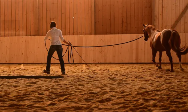 Mental preparation of the person