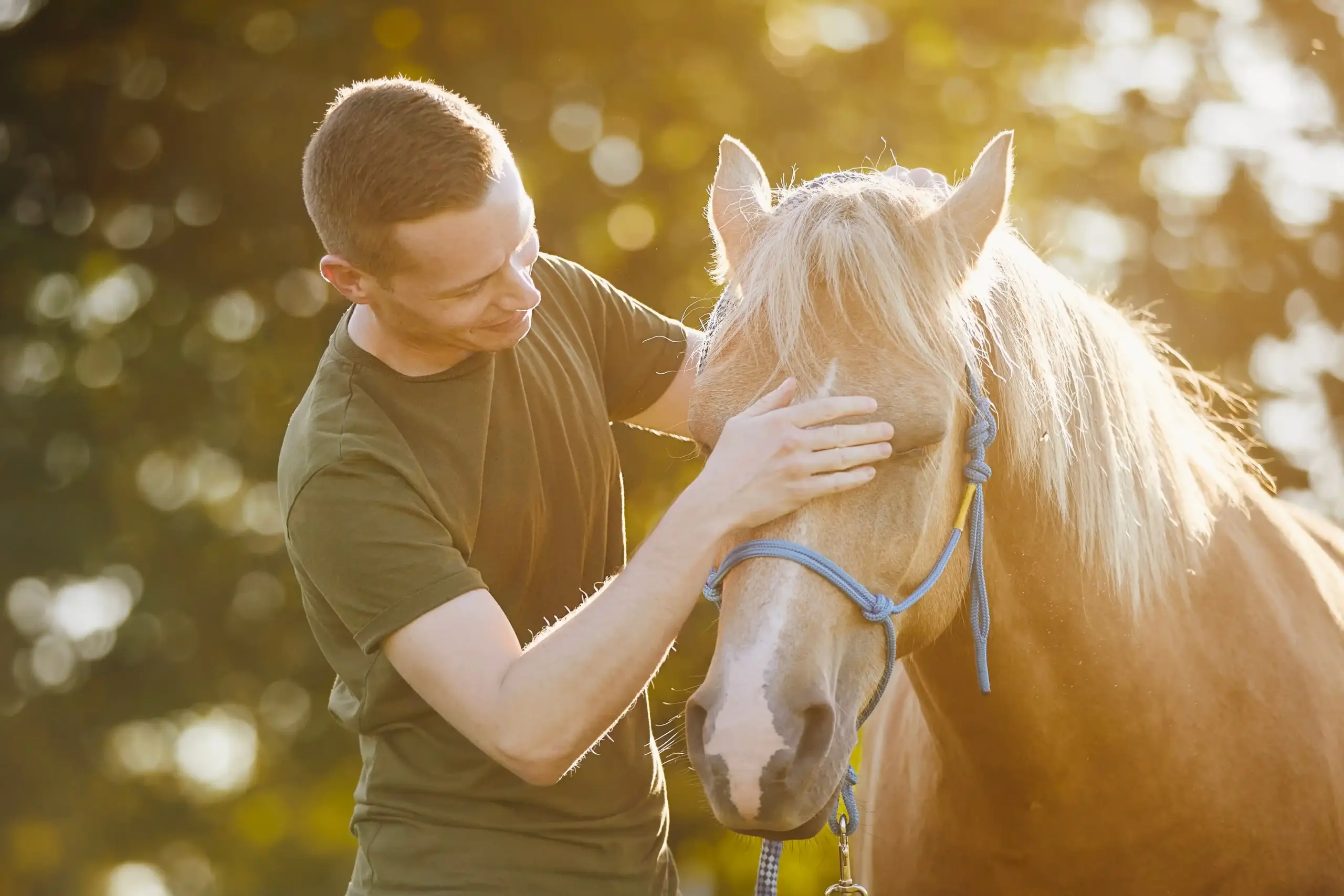 Man patting a horse