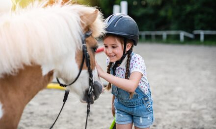Learning for Life in the Stable – How Horses Support Child Development