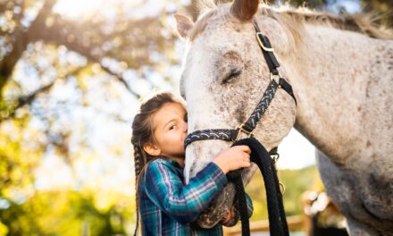 Children and Their Love for Horses