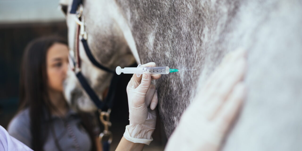 Vaccination in Horses: A Critical Look at Preventive Care