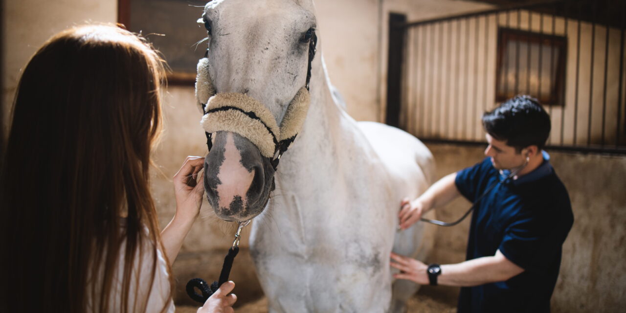 Preventive Care in Horses: Preventing Disease Instead of Treating It